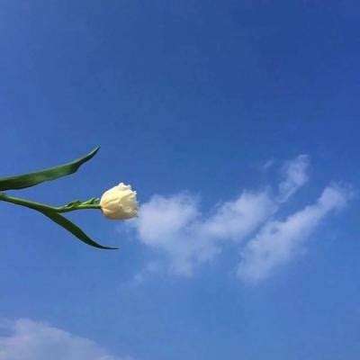 一起来跳舞小米版下载