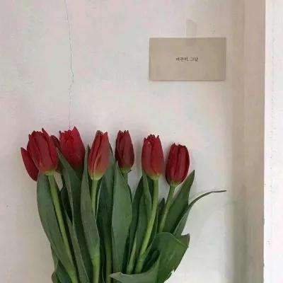 建立王国就要从零开始内购破解版下载